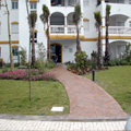 imagen6